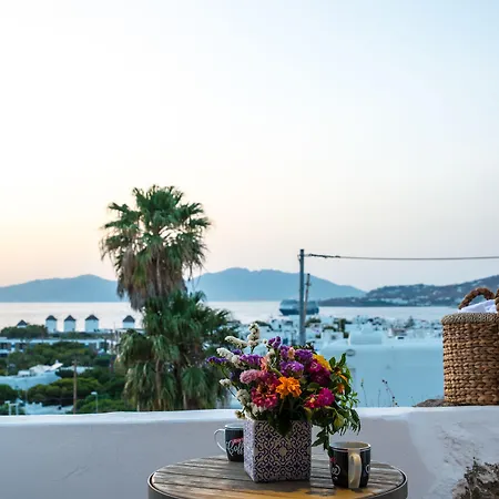 Dimele & ホテル Mykonos Town